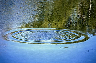 Photo showing a ripple on a pond.